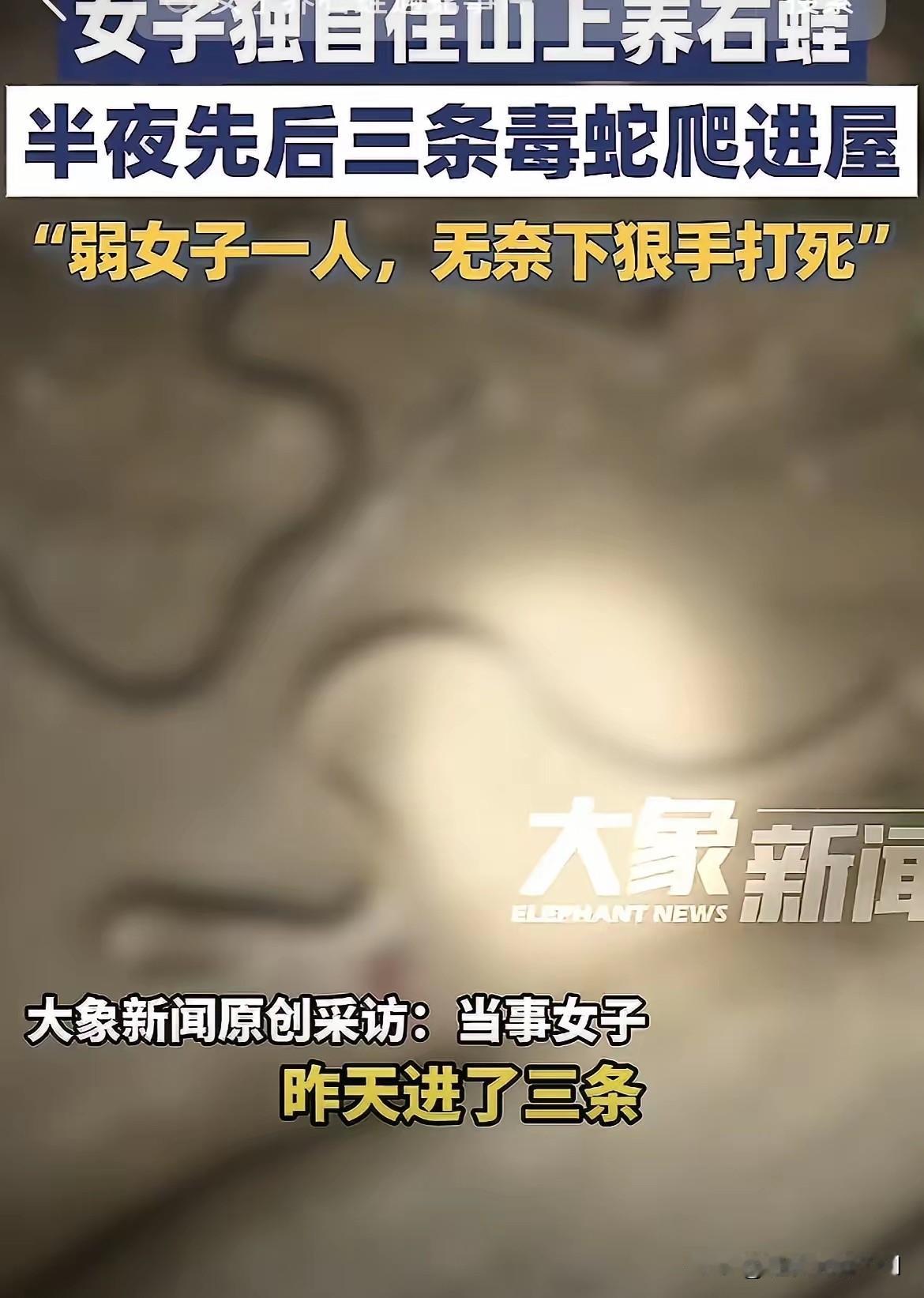 胆子真大！湖南永州三条毒蛇闯入女子房间内，企图对女子进行攻击，女子身手矫捷，用木