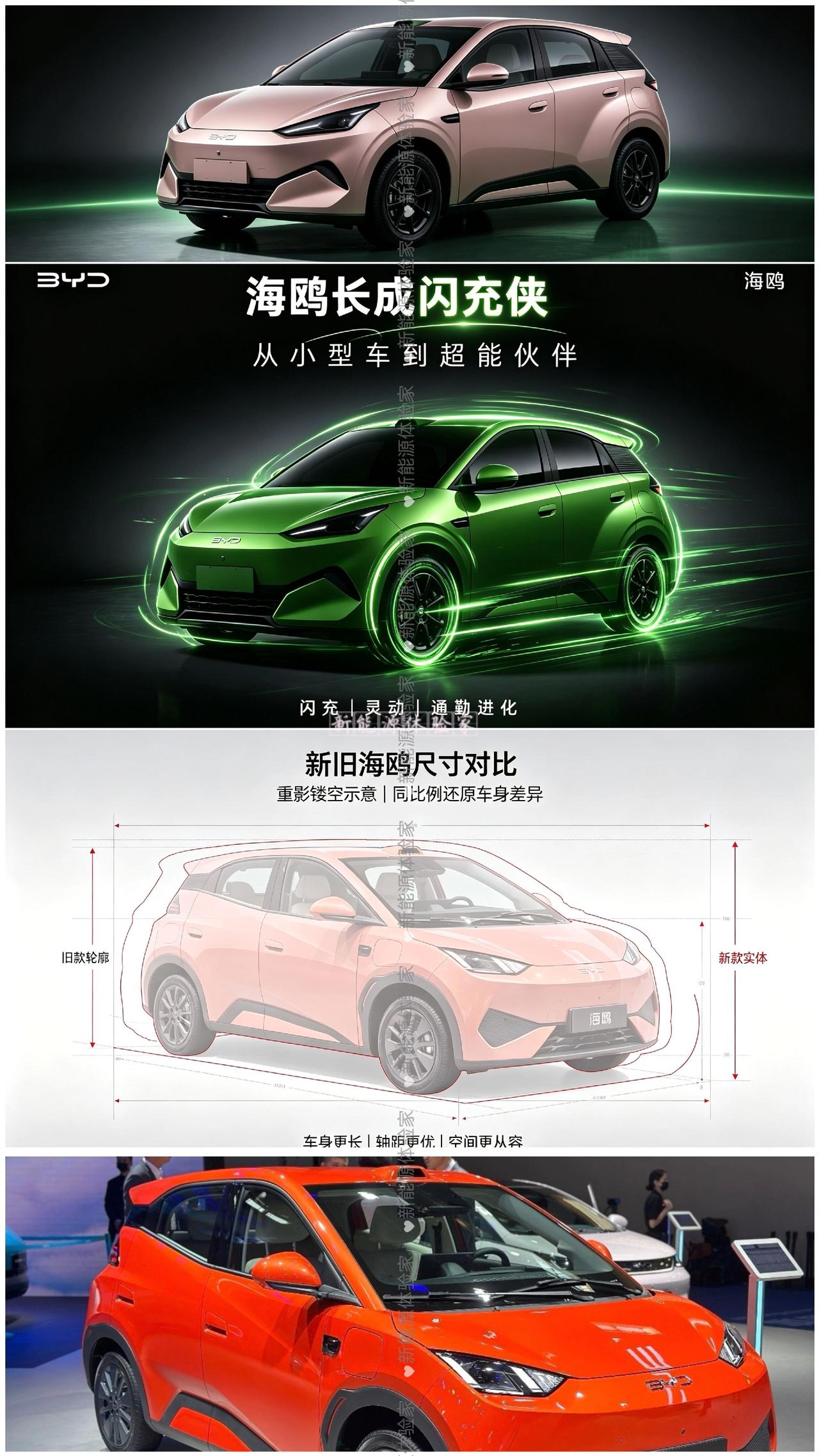 全新换代比亚迪海鸥正式进化完成！全新换代比亚迪海鸥正式进化完成！不再只是城市代