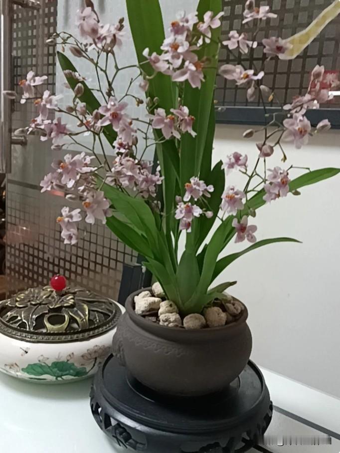 一个女性朋友看上我曾经的一个男同事，说觉得他会赚钱长得帅，可只有我知道这男同事的