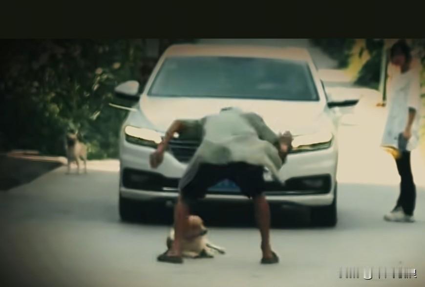 狗狗卧在路中央，一辆车驶来也不知避让，按响喇叭也不为所动。谁料司机出手狠辣，上前