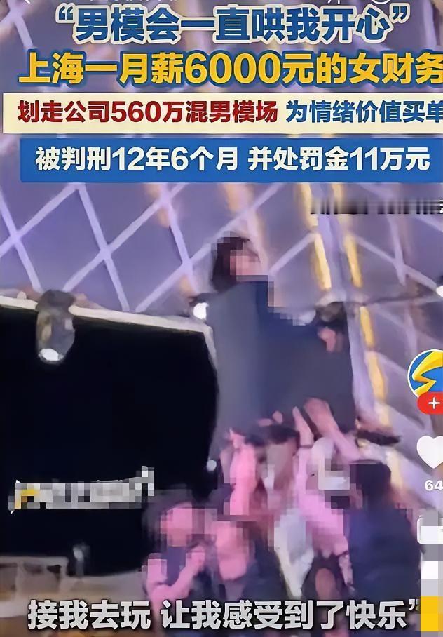 我特别好奇，上海的这位女财务挪用公司560万公款去消费，去找男模，然后被被判刑