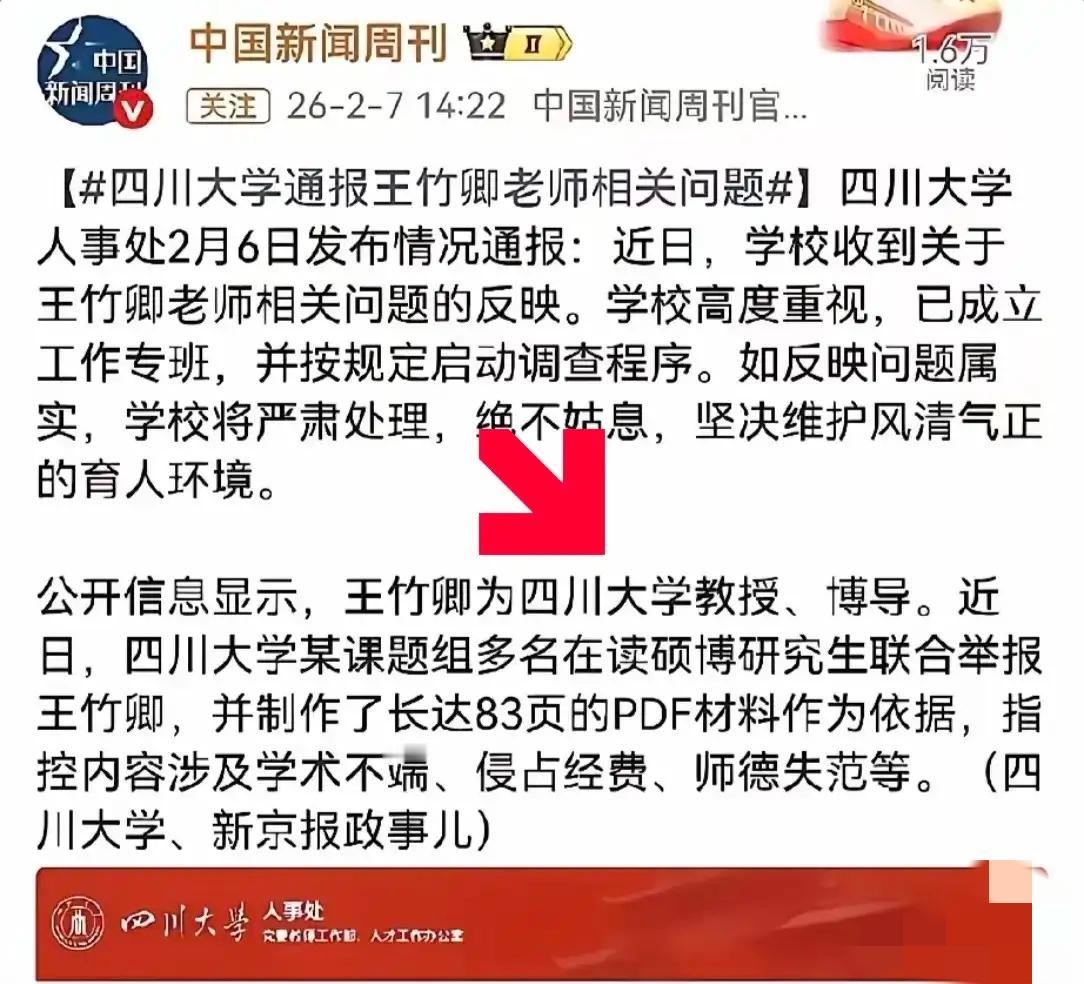 背后是否存在境外势力介入、国内定向扶持的情况？王竹卿挪用国家千万定向经费，学术