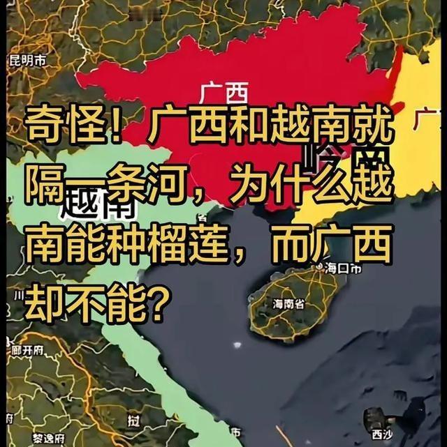 有人问，为什么广西和越南就只隔一条河，越南可以种植榴莲，而广西却不能呢？首先说，