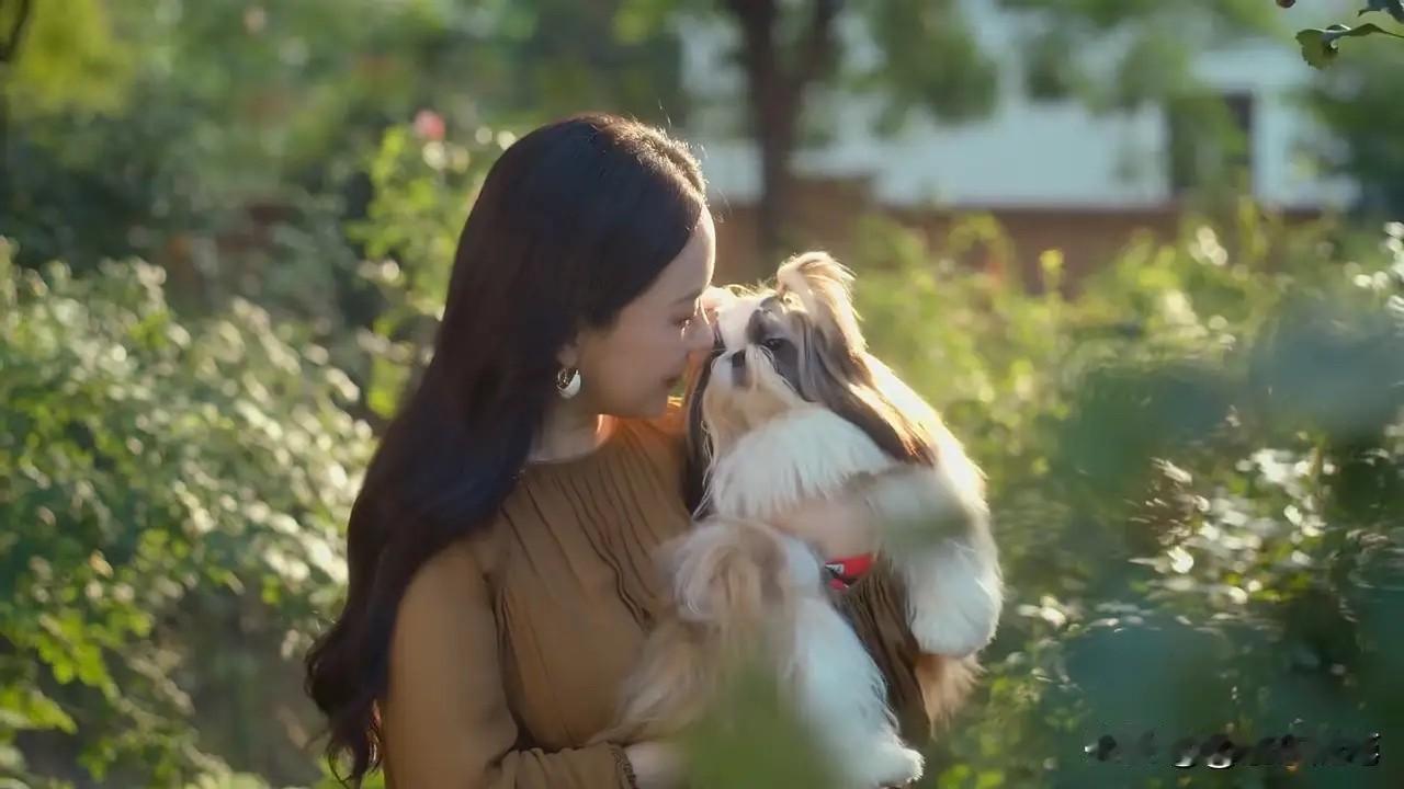 霍思燕晒惬意日常！与5只赛季名犬家中嬉闹，豪宅意外曝光太壕气8月12日，霍思