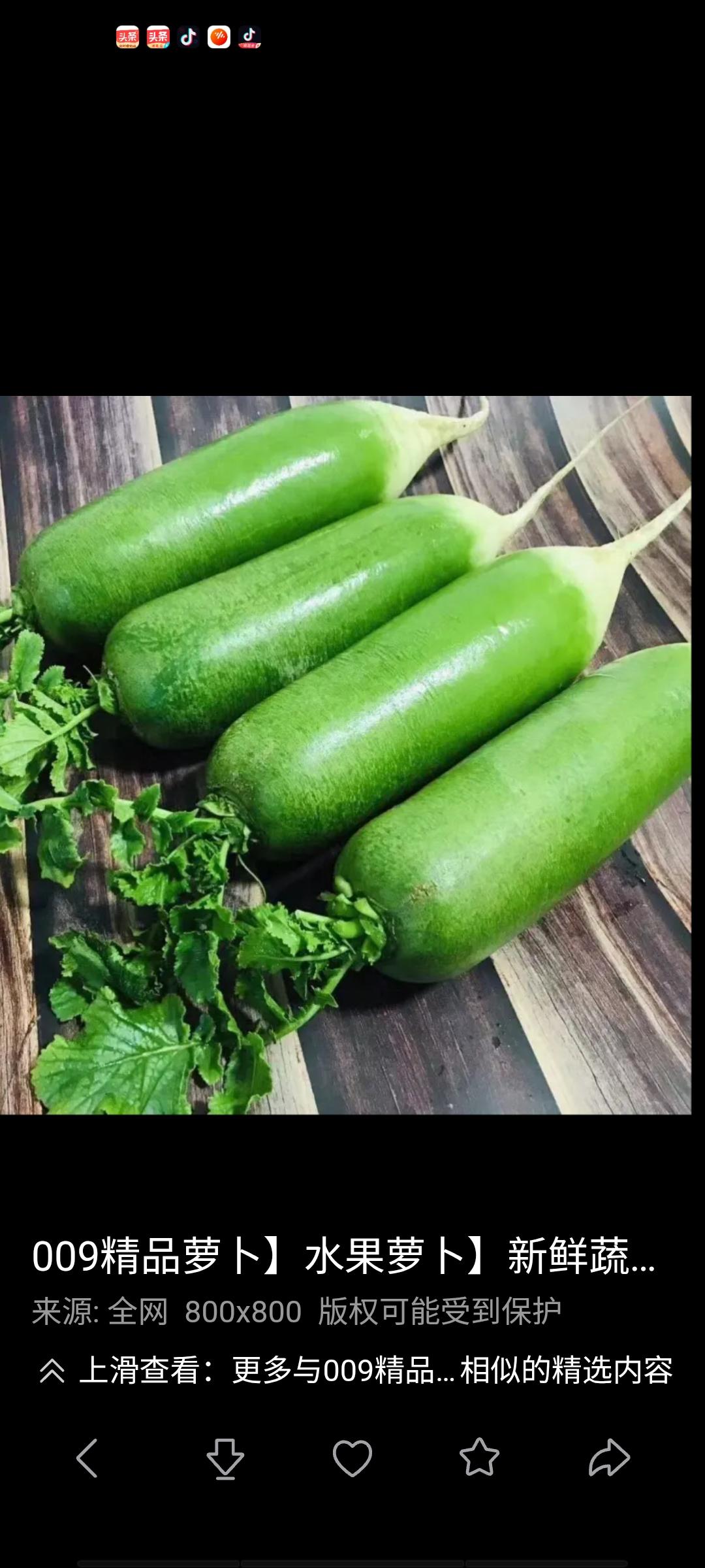 提起天津的青萝卜，大家都认为是西青沙窝萝卜最有名，其时天津解放前，河西小刘庄的青