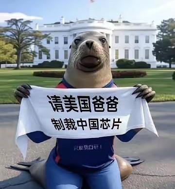 为何用中文？猜猜这货是哪儿人？