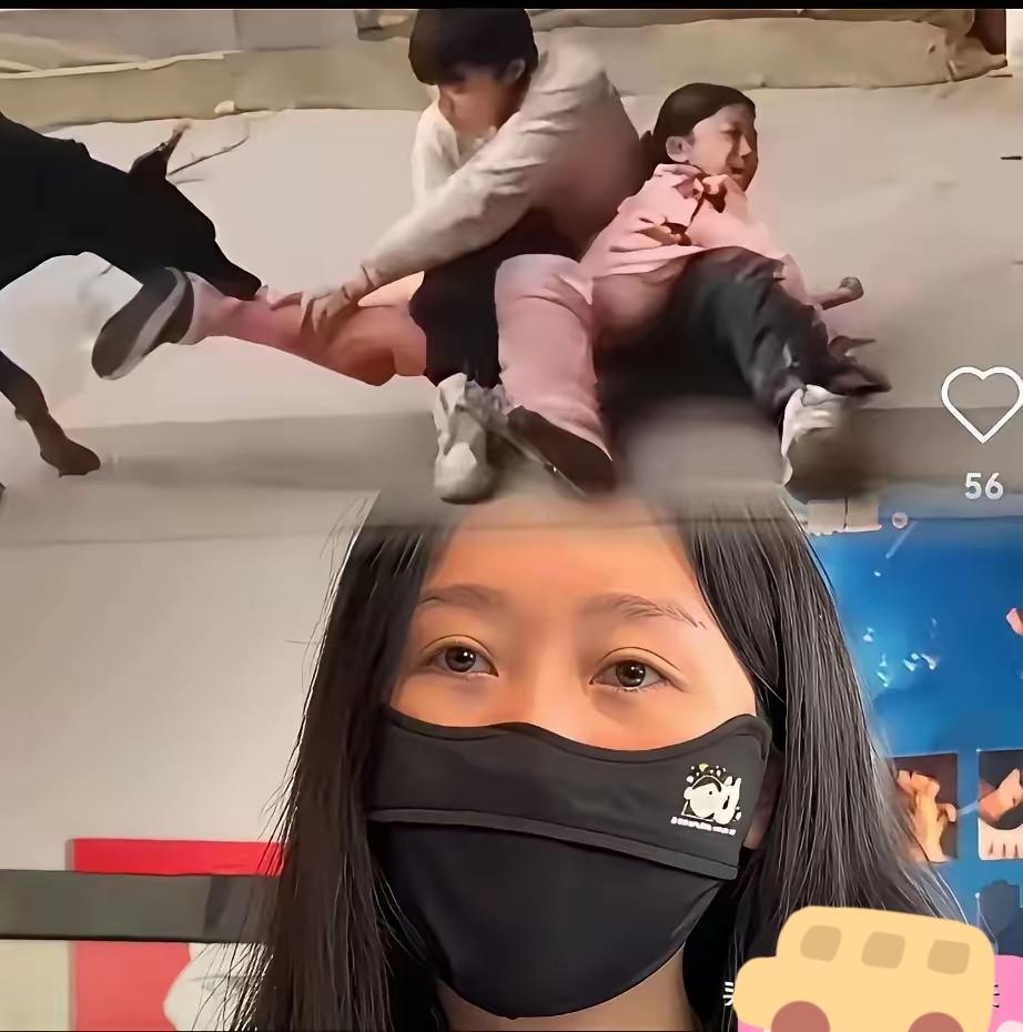 遛狗不拴绳还敢要10年重判？李女士们的“护狗”根本是耍特权！投毒者用剧毒确