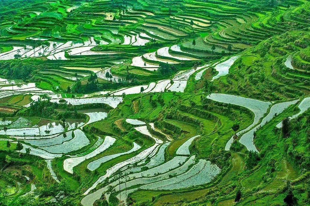 浙江·茗岙，云雾缭绕的山野村庄，构成了一幅绝美的画卷。