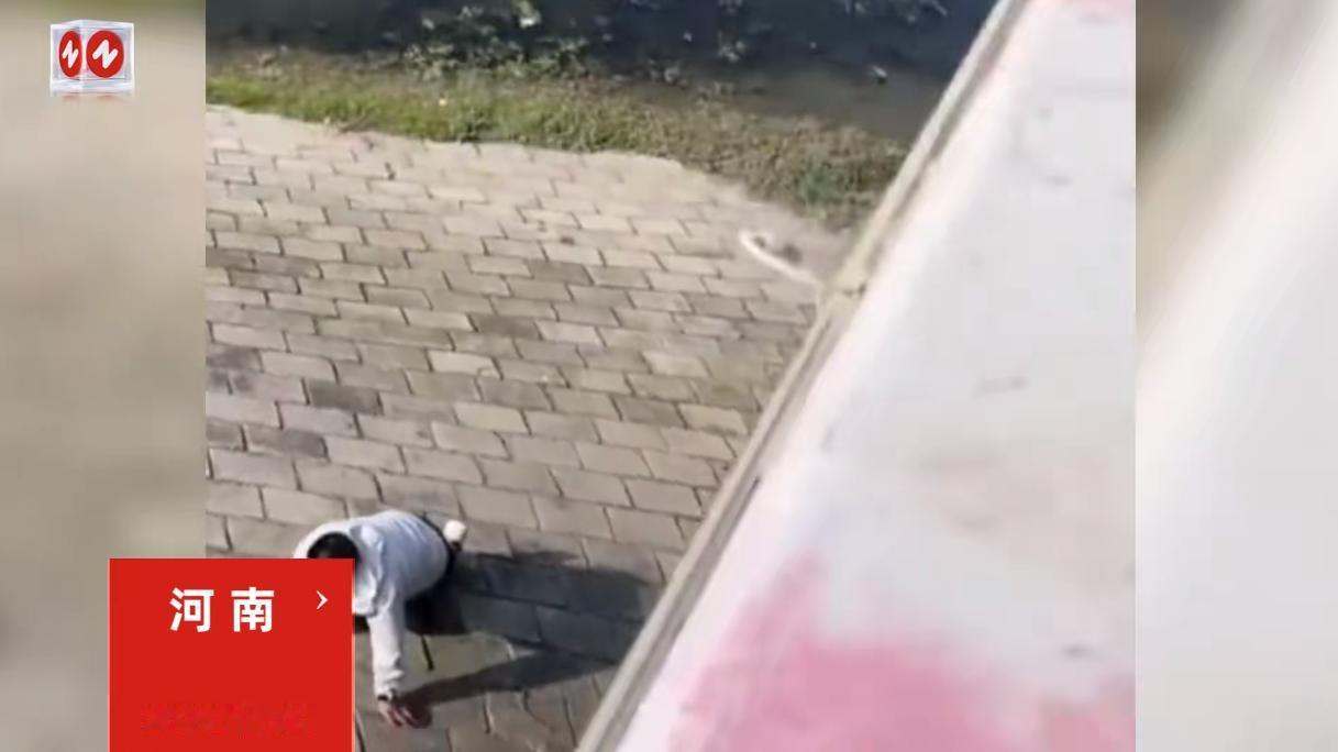 “不作就不会死！”11月2日，河南，一小伙在大桥上因为想不开，竟直接拉开车门就要
