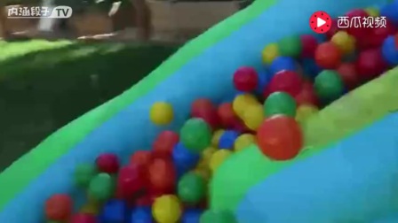 13230988863350899676.jpg?id=0