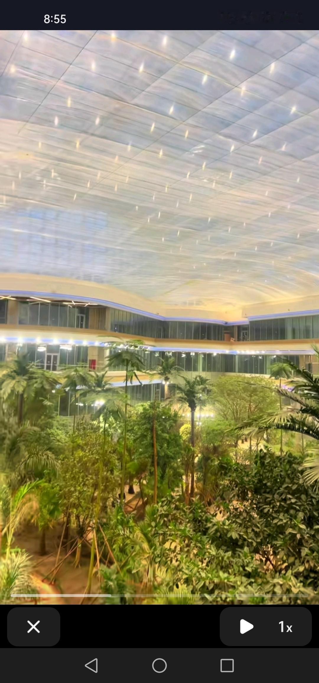 长春市万达茂的热带雨林亮灯啦，实在是美轮美奂！真期待它能如期开业。长春市万达茂