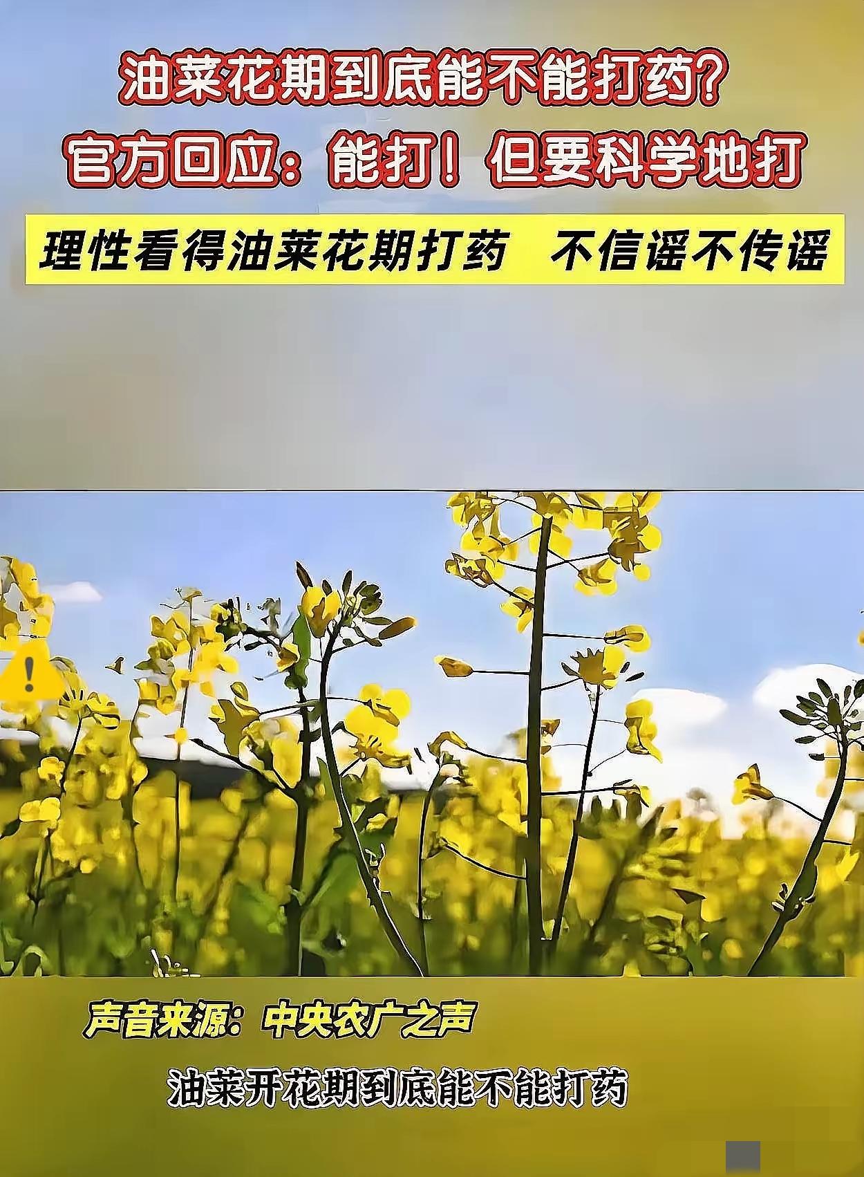 最惨蜂农，一夜破产！湖南江西这波操作，真的让养蜂人欲哭无泪。油菜盛花期