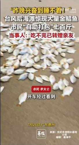 红霞：今年业绩完成，广东送鱼，广西洒水，海南拔树，大家还满意吗？广东：满意，但