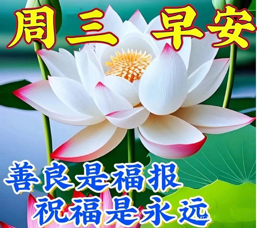 把朋友放在心上，是对缘分的珍惜：把友情存在心中，是一曲甜蜜的旋律。感恩所遇，永久