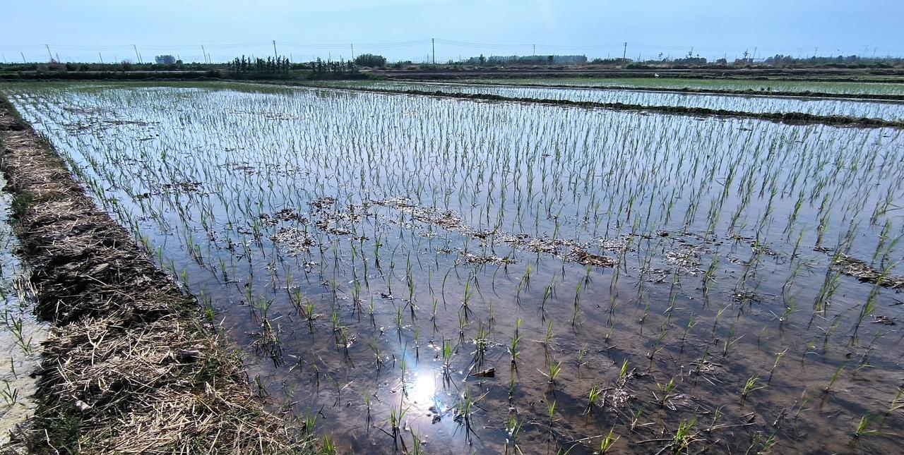 邻居家71岁的婆婆脑梗走了，她家公公对他的2个儿子说，以后家里田地我不种了，你们