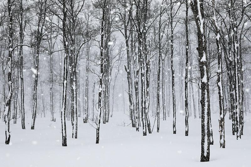 暴雪来袭，江苏校园“停课风云”何去何从？近日，江苏徐州因恶劣天气再次停课。江苏