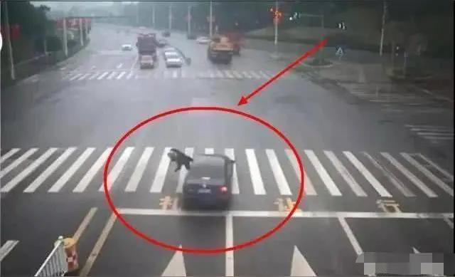 事件完整经过（2026-03-01，大连）-时间：3月1日中午12点左右