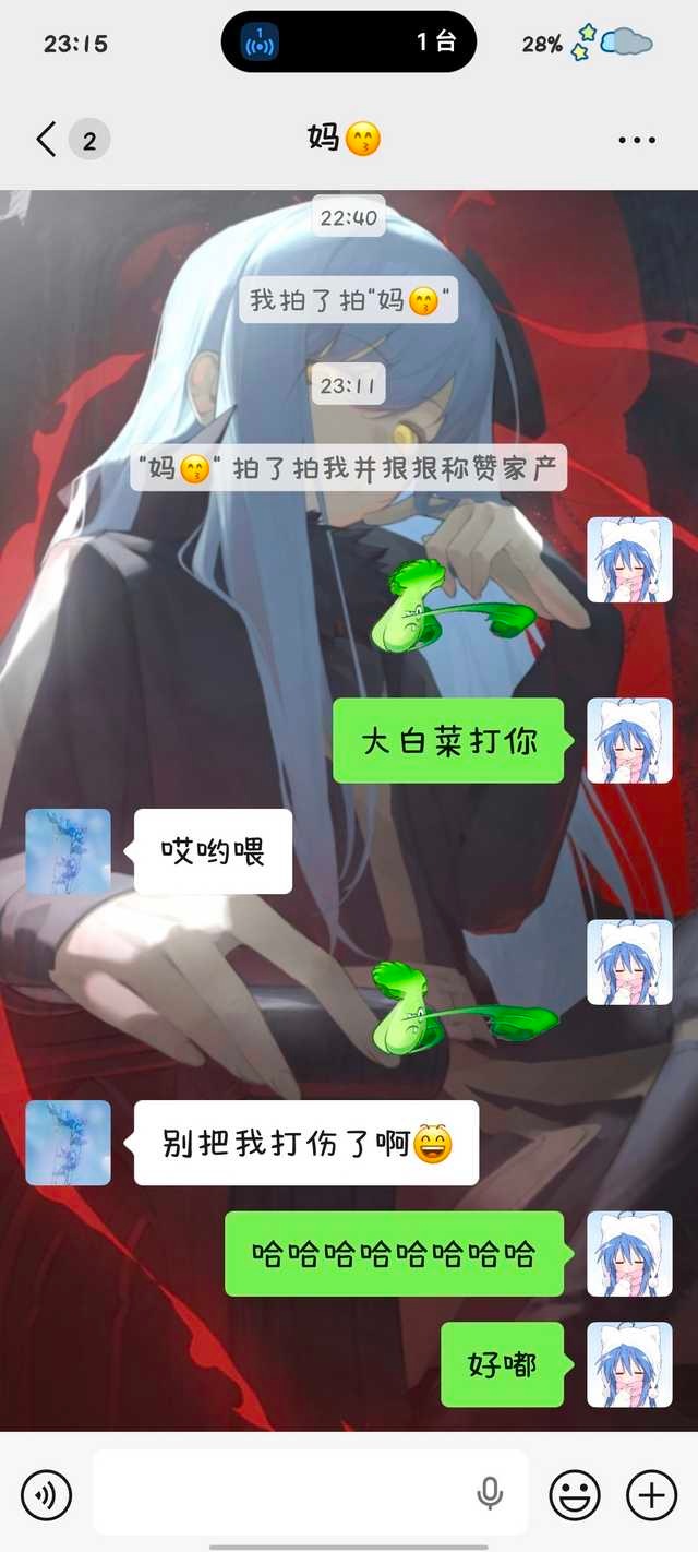 喜欢跟猫猫无忧无虑打闹说笑的日子——​​​