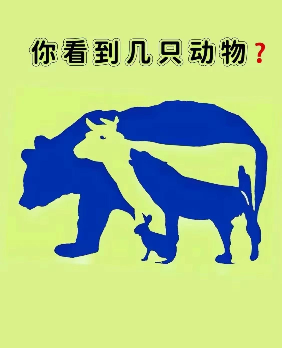 你能找到几只动物？