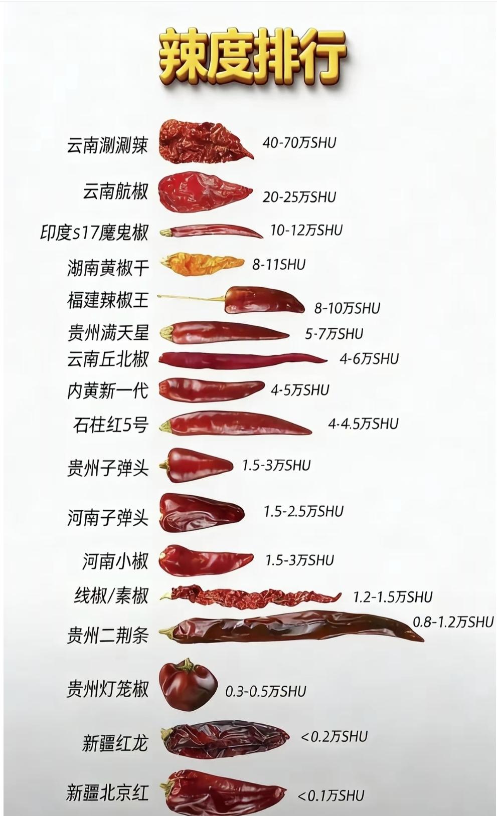 为什么只有人类会主动吃辣？辣椒素不会触发舌头的味觉接收器，而是直接激活感知高