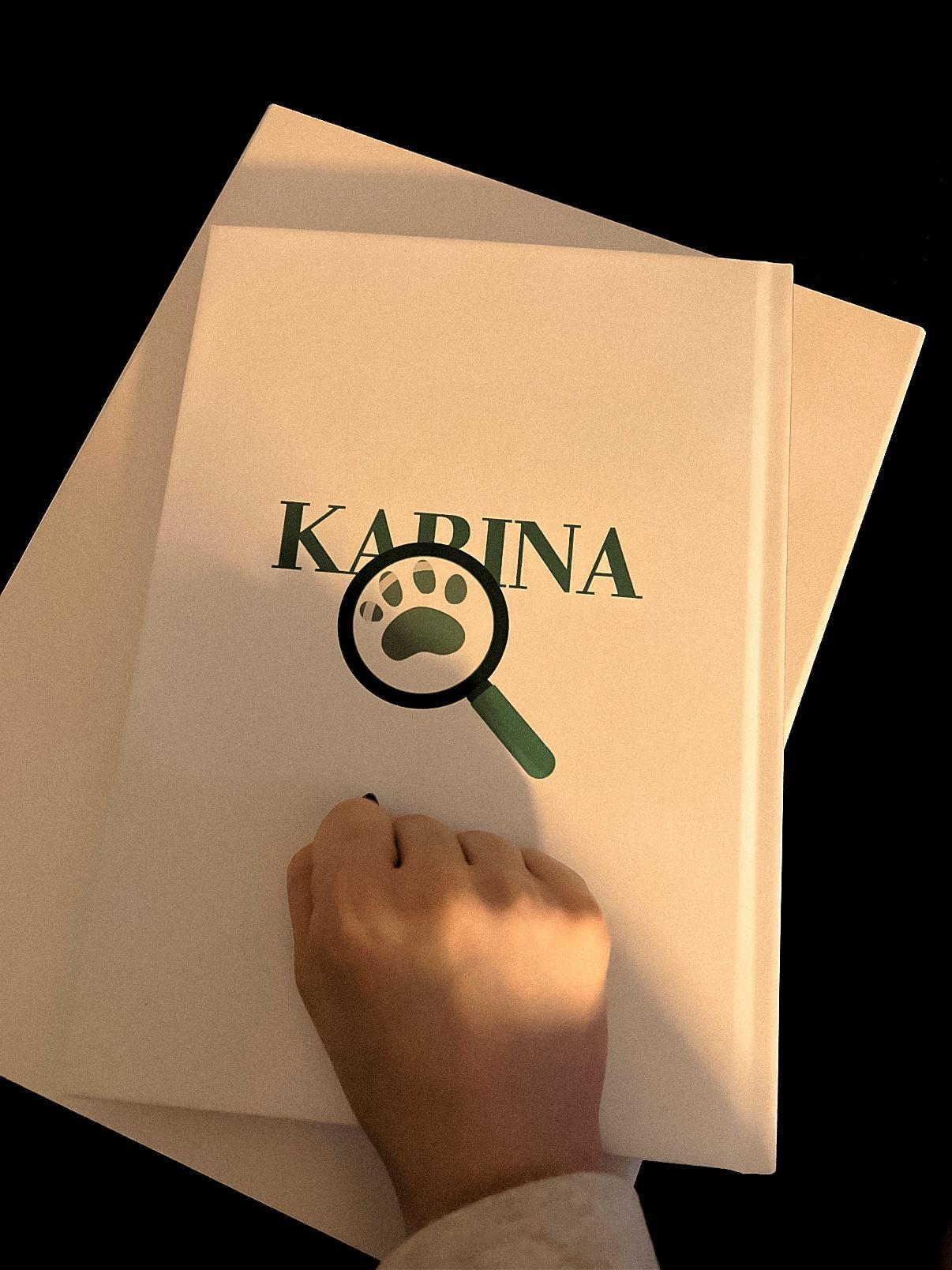 柳智敏Karina的隐藏属性图🐈‍⬛-​