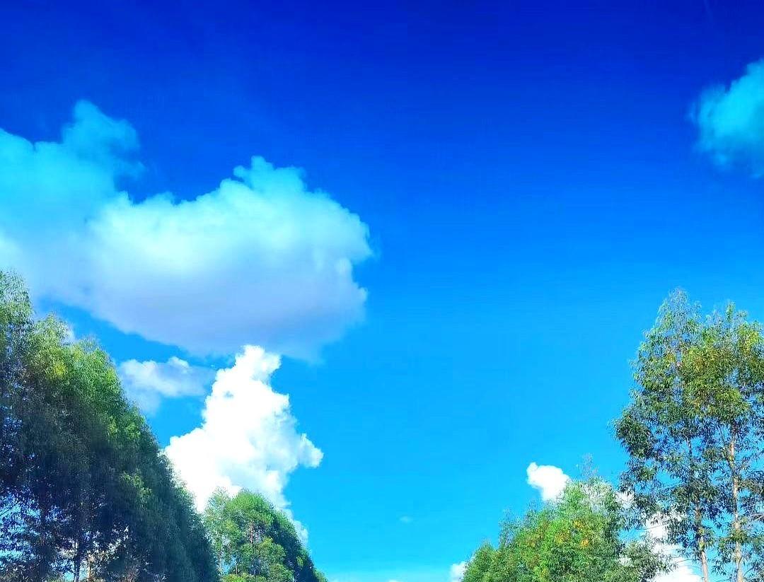 退休金两千，怎么活？晚上十点，老李穿着那件洗得发白的西装，独自在小区转圈。十