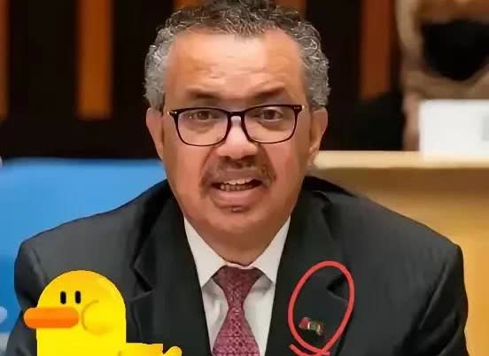 世卫组织现在估计肠子都悔青了！它后悔的不是又要去调查，也不是会员