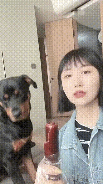 狗子能有多馋啊？什么吃的都想吃。