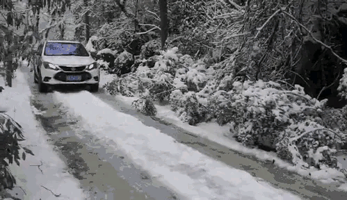 比亚迪海鸥的雪地模式也没多厉害，跟其他车也不过就是一场雪的区别。雪地模式也就是
