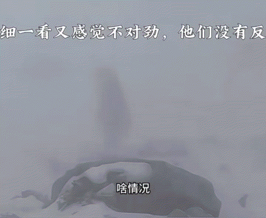 云南一个男子凌晨去野外徒步，结果遇上大雾啥都看不清。他发现前面有几团黑影，以为是