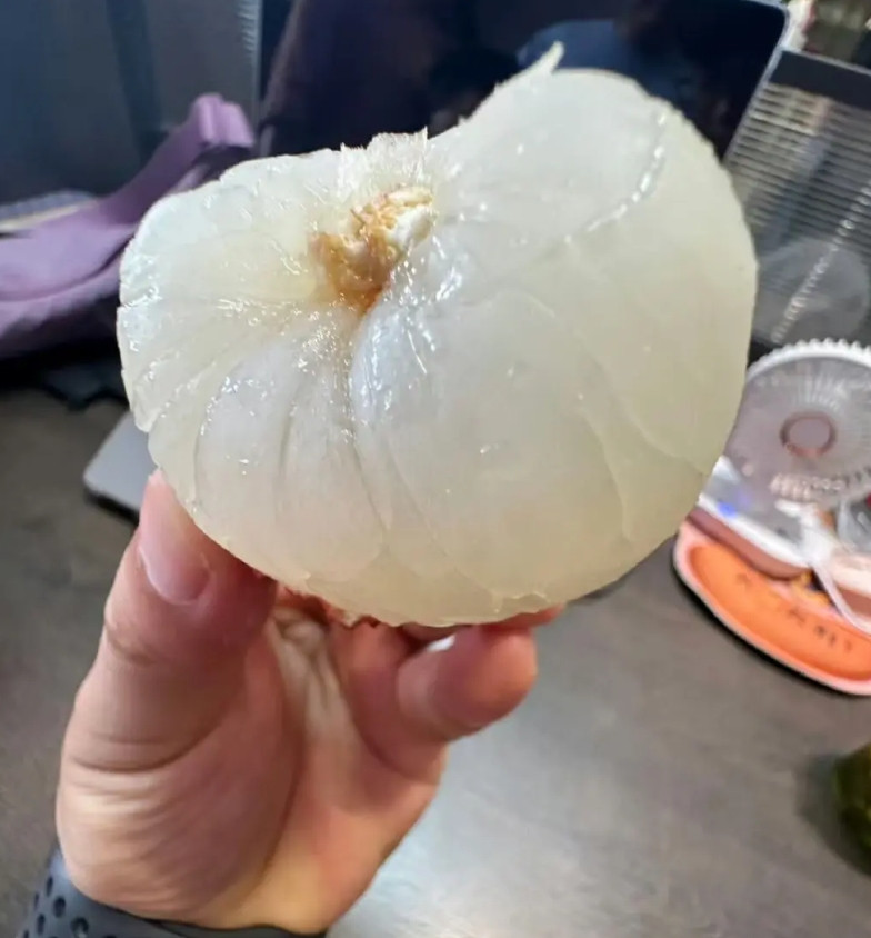 刷到一条荔枝王！！原本以为是AI的，结果是真的。问了一下懂行的人，被打脸了，说这