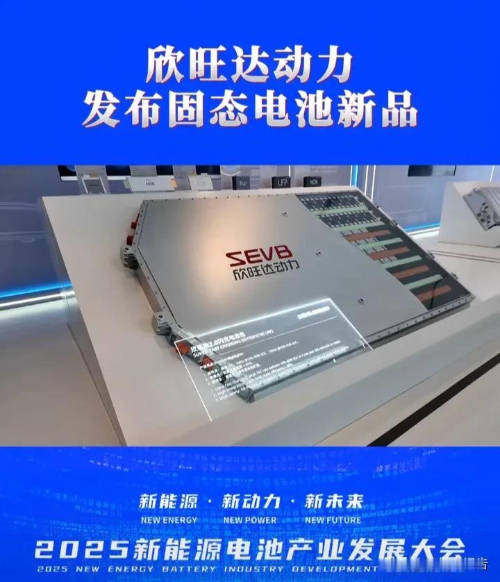 全固态电池将成为燃油车的终结者。在山东枣庄举行的新能源动力电池大