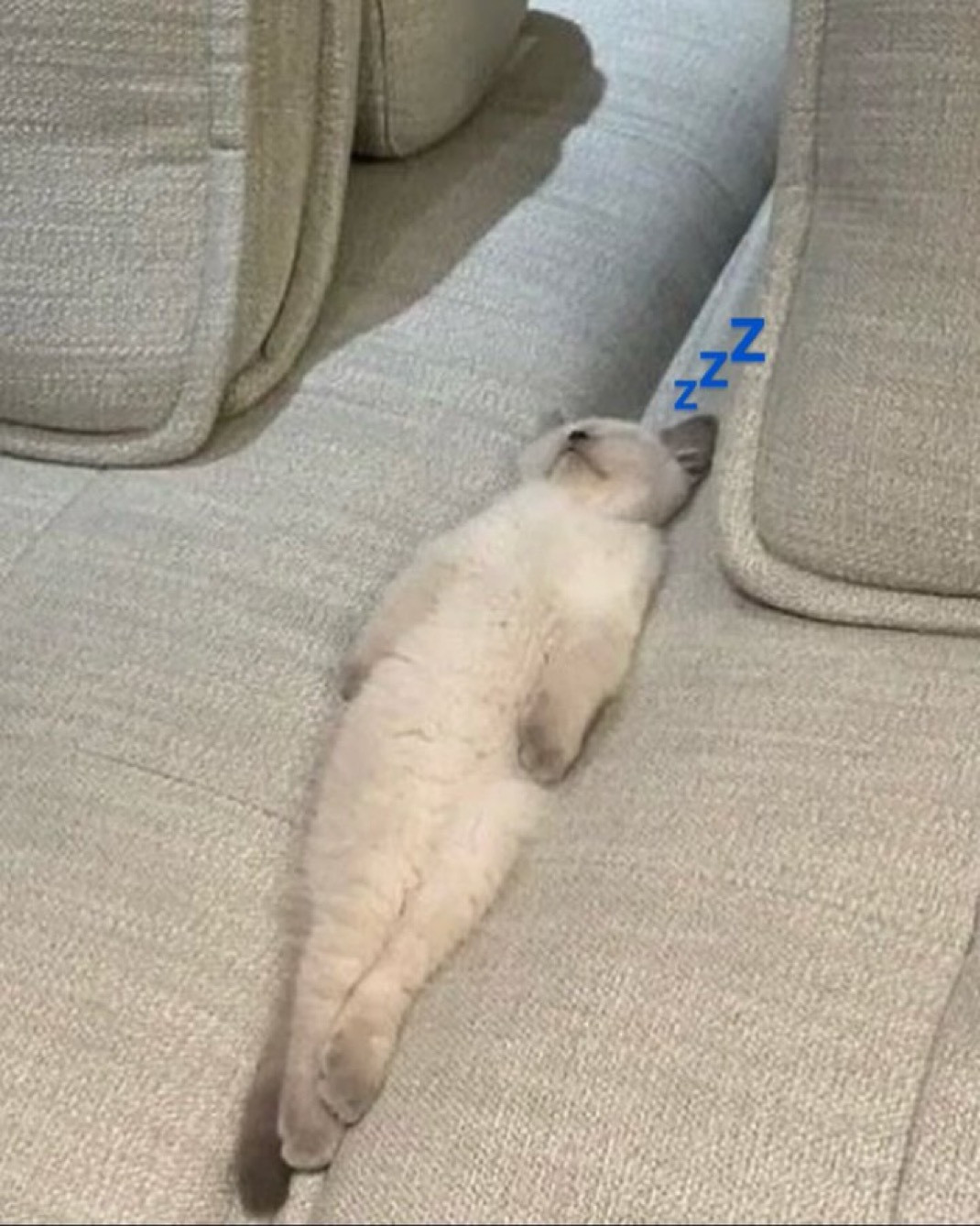 分享图片​​​