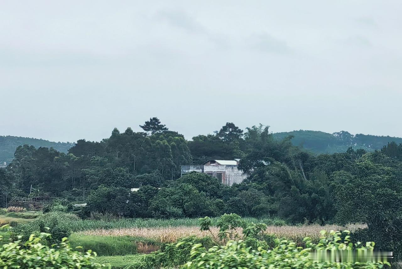 25号早上，我们从南宁坐大巴前往东兴边关口岸的时候，一路要有两三个小时的车程。