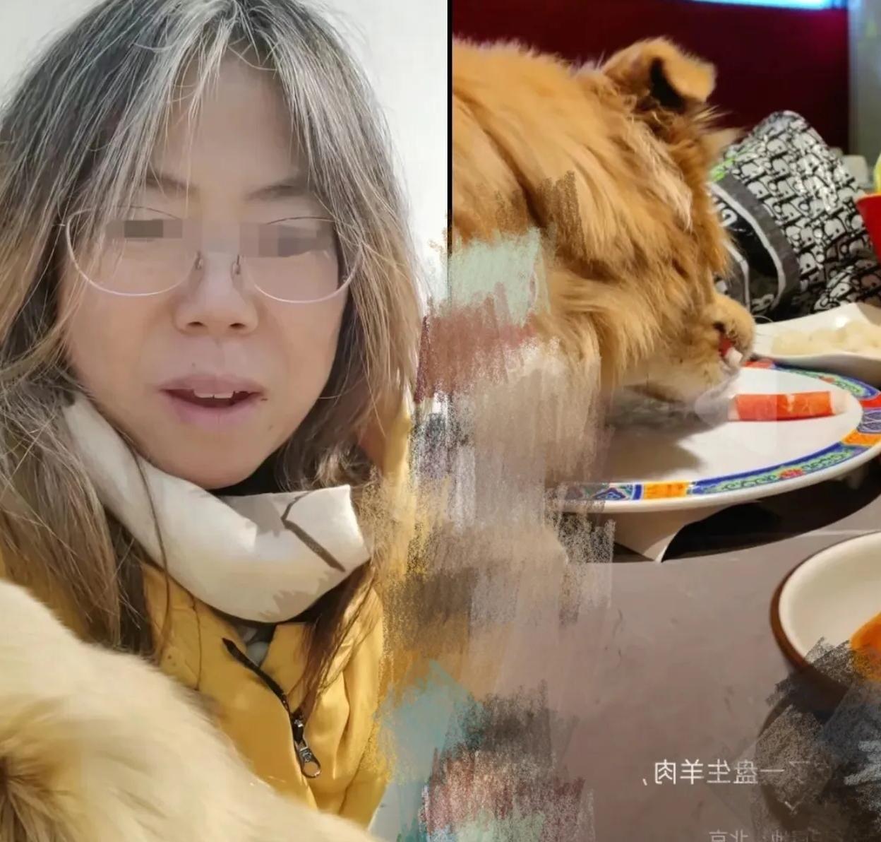 如今对纵容狗上桌舔盘的那位女士最致命的，不是面临饭店起诉，也不是平台限流，而