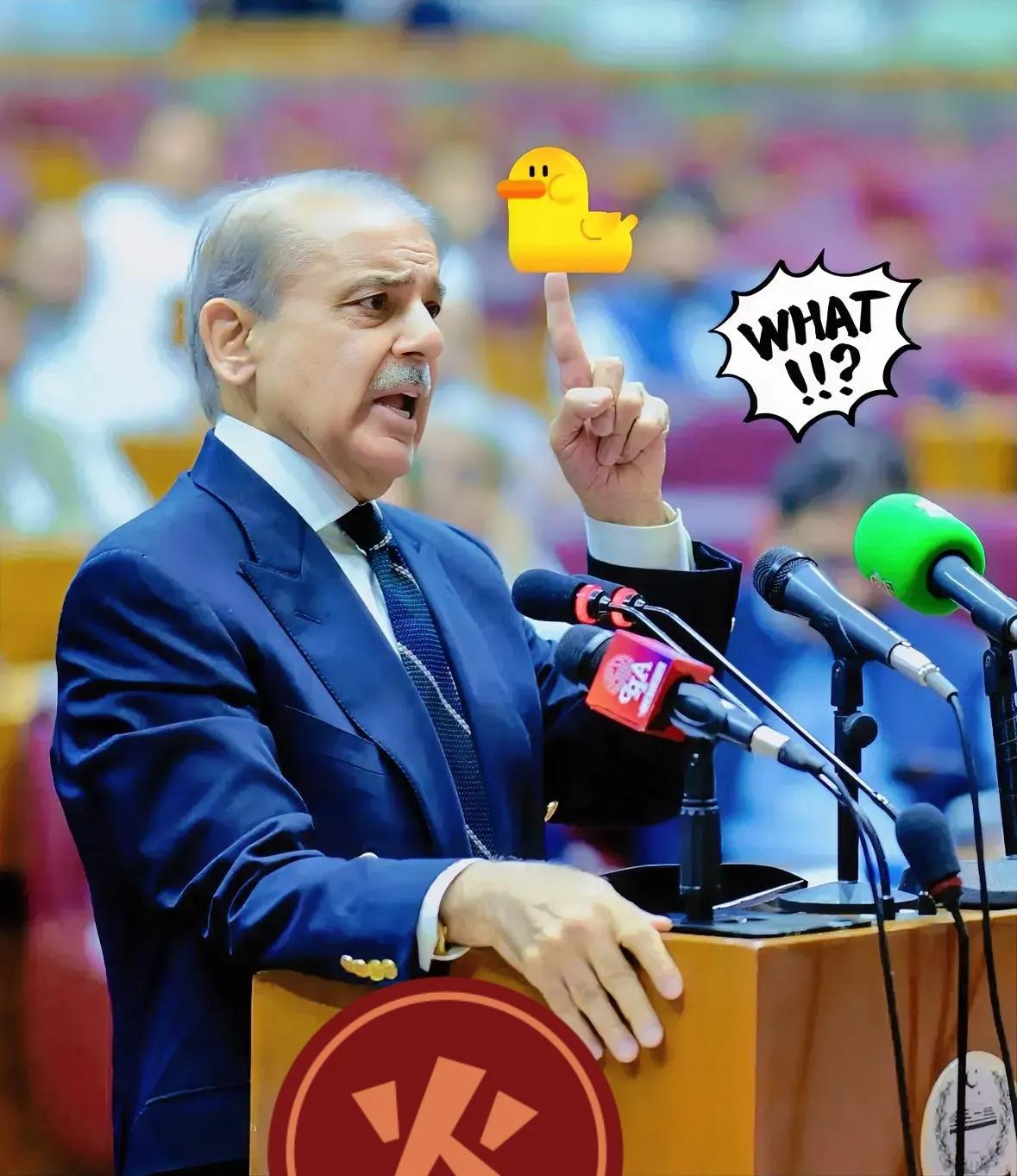 真的越看越让人心里不是滋味！中国对巴基斯坦的支持够实在了吧，700多亿砸下去