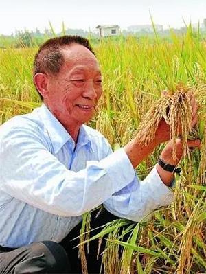 1994年袁隆平递报告申请一千万科研经费，李鹏当场签字批准，一年后却笑问道：你咋