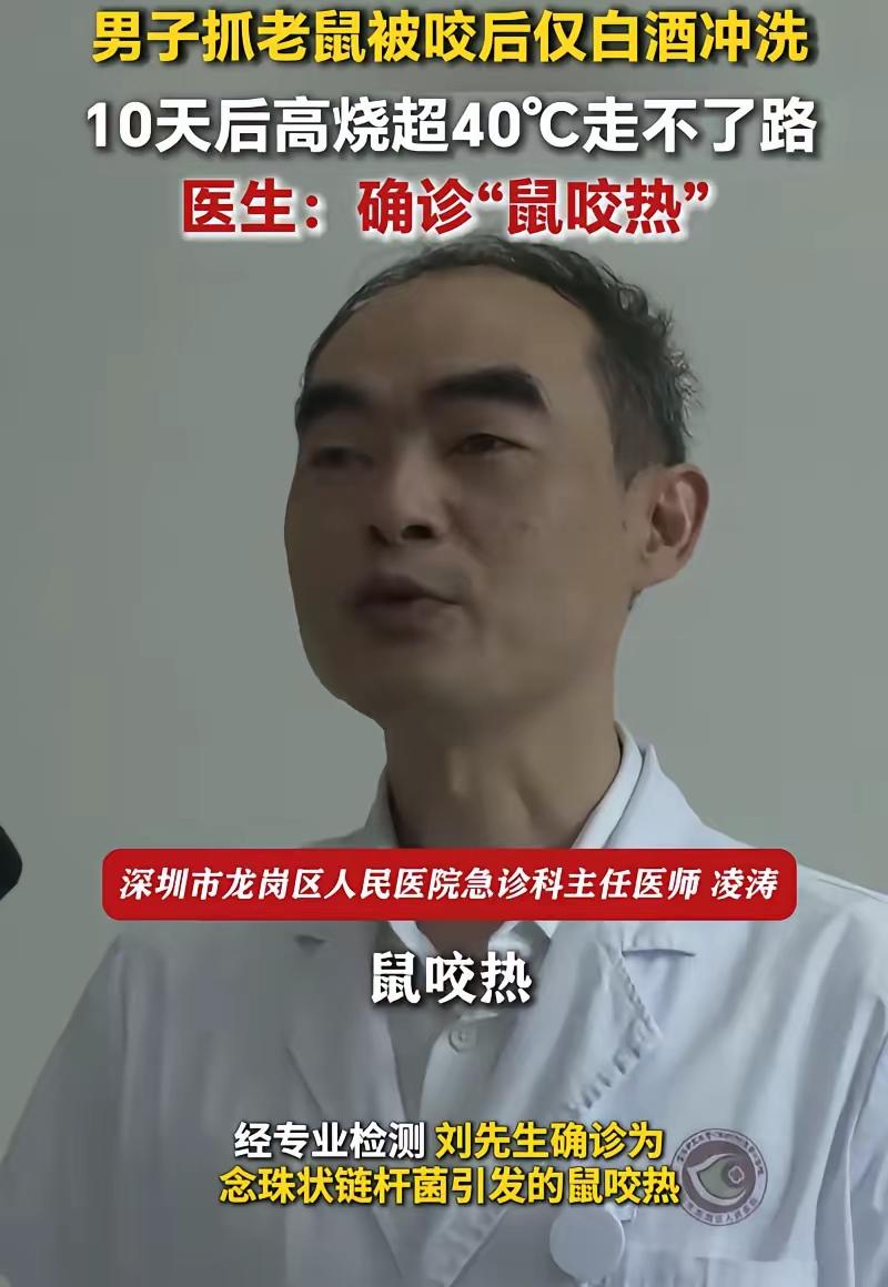 “悲剧还是发生了！”近日，广东深圳，一男子在粘鼠板上发现一只老鼠，本想去抓住它，