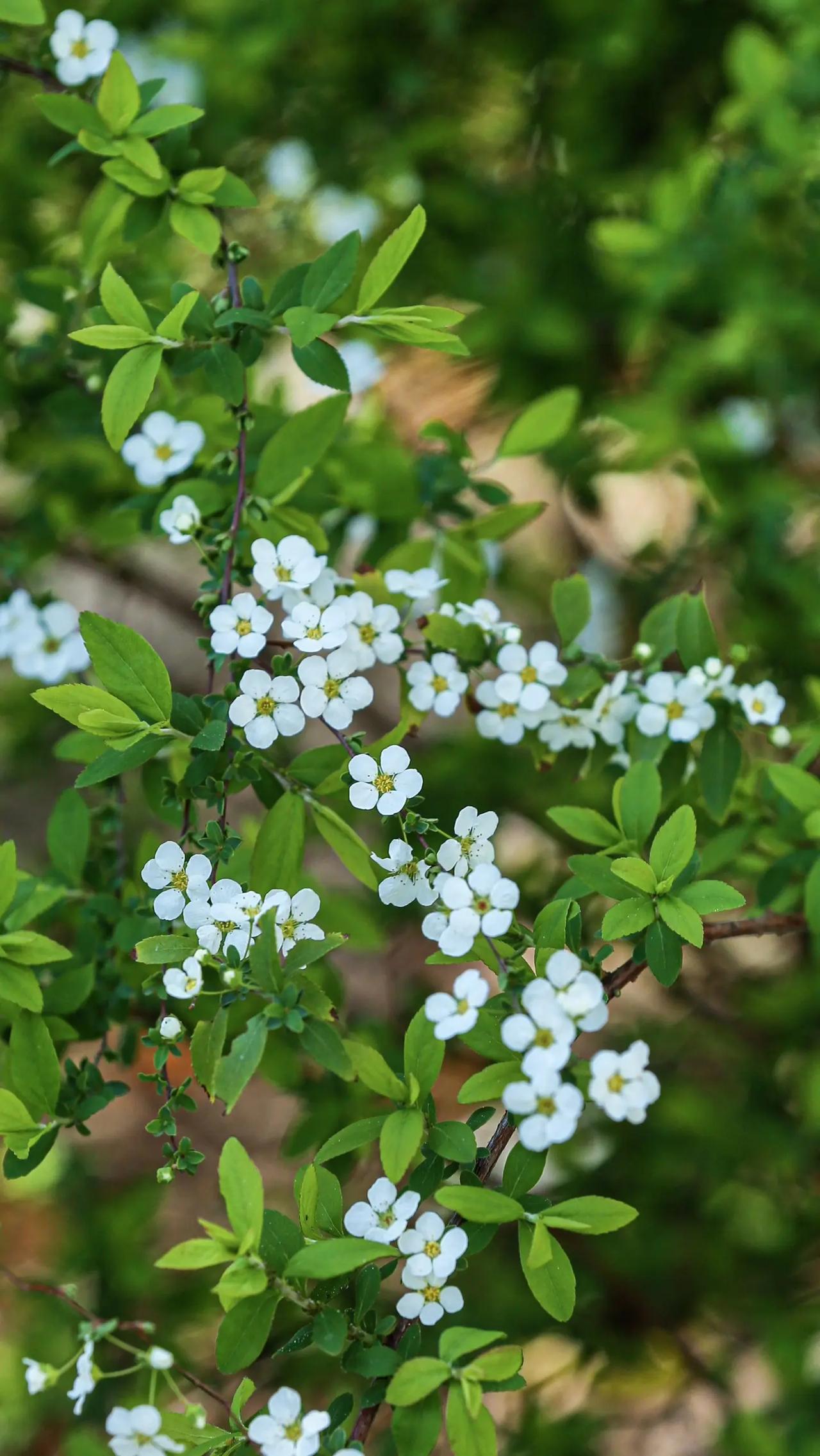 给所有的35岁以上的女性的一个忠告，如果你还在单身的话，要赶快结婚，因为女性