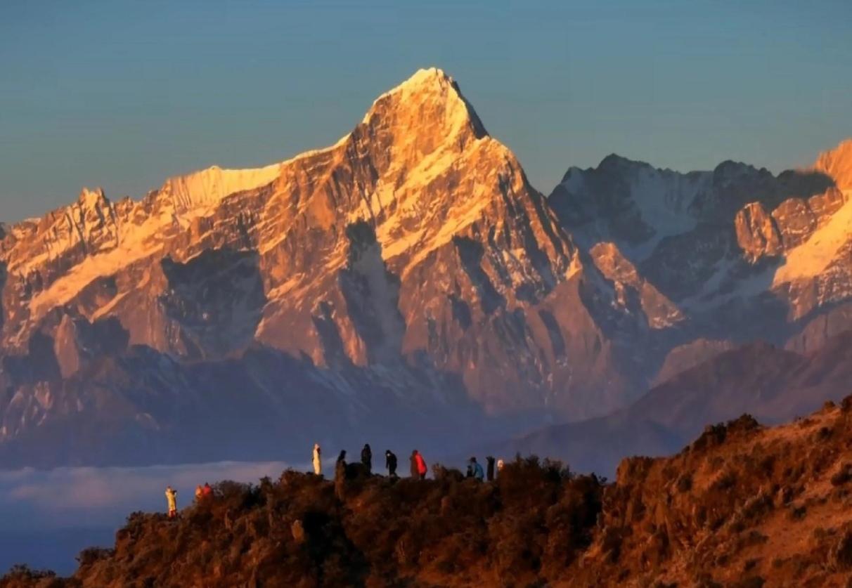 冰川纵横，159条现代冰川蜿蜒山间，冰舌直抵林海，蓝冰与冰裂如水晶雕琢。垂直
