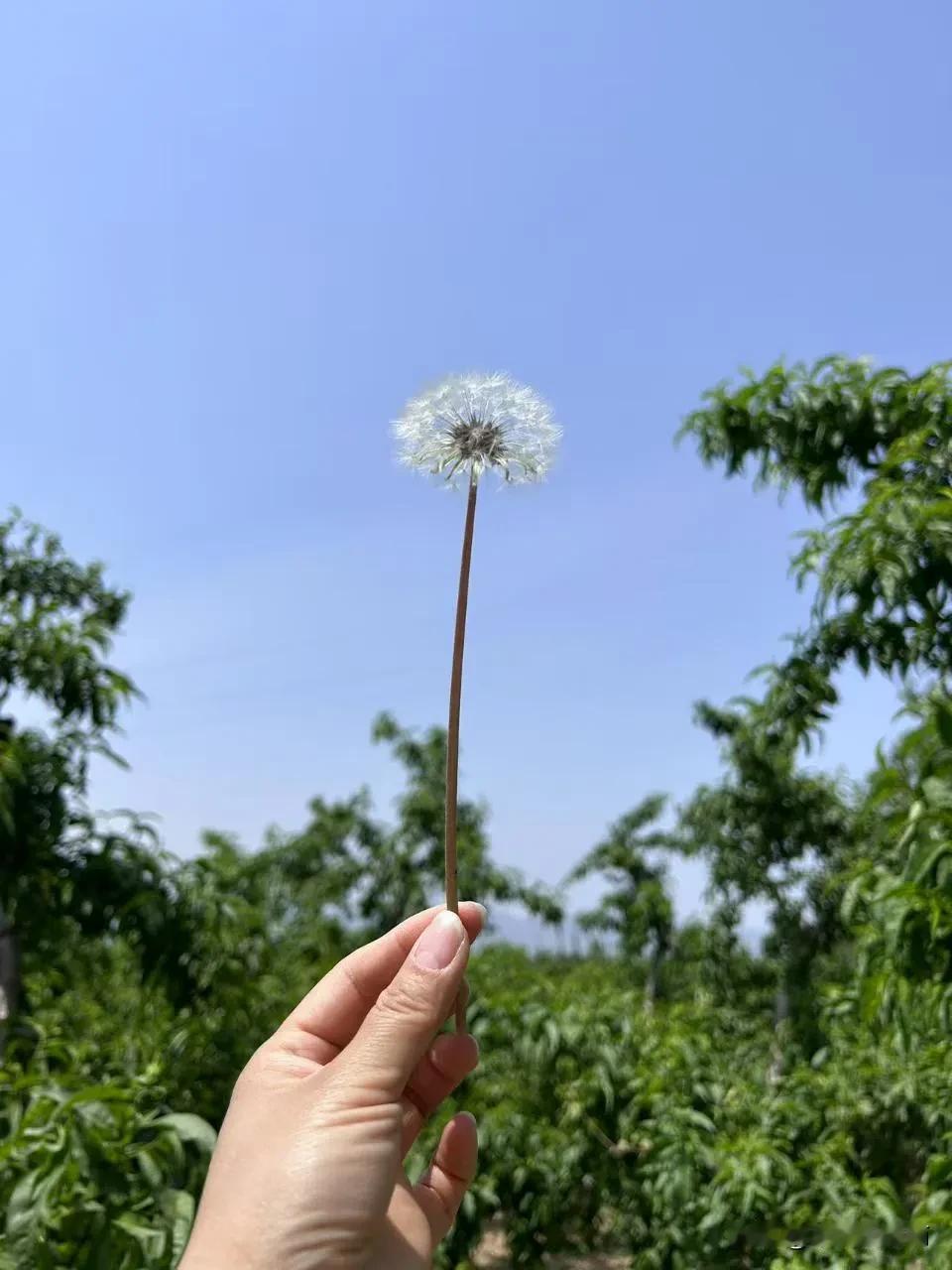 班级群静寂了四天，刚刚班主任在群里发了重要通知。亲爱的同学们：大家好！愉快的