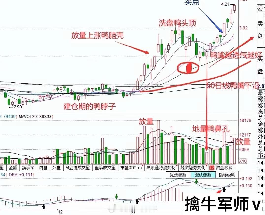 “老鸭头”是一种股票K线形态，因其形态酷似鸭子的头部而得名。以下是老鸭头形态的主