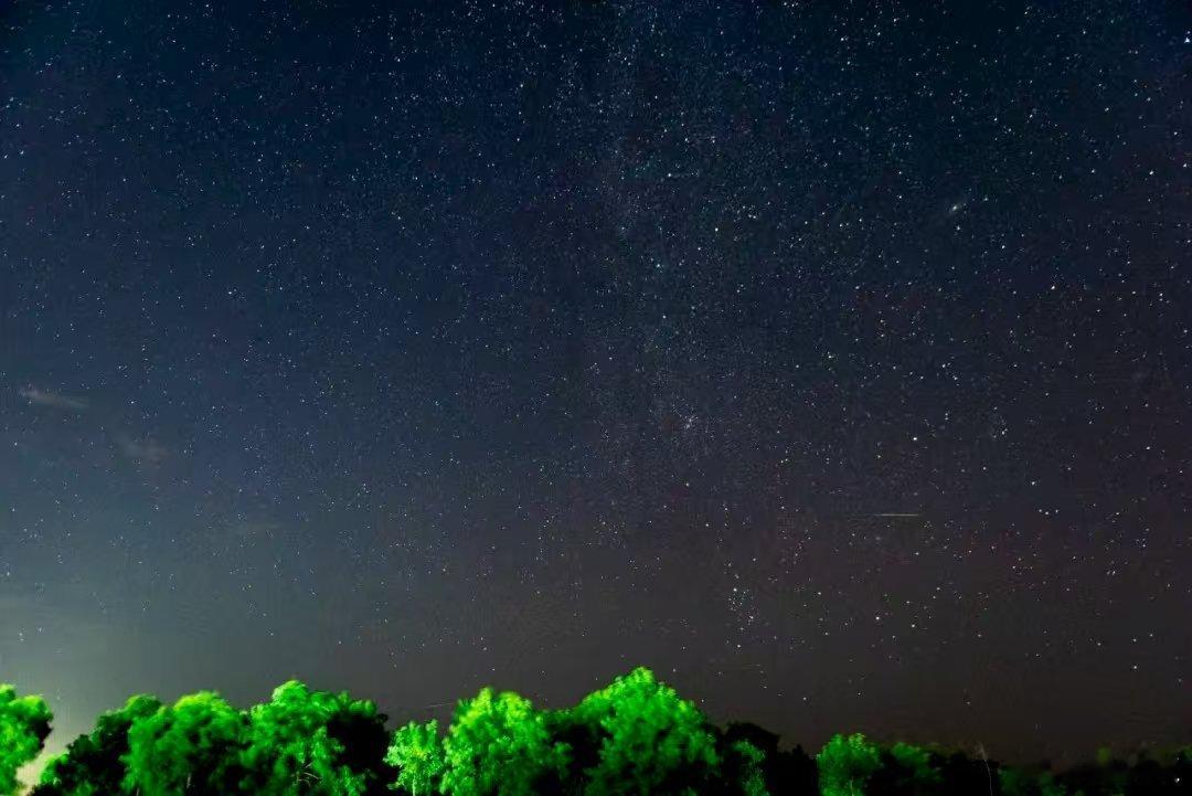 立秋云天收夏色，木叶动秋声。明天（7日）立秋。三伏还有十几天，天气还是那么热。这
