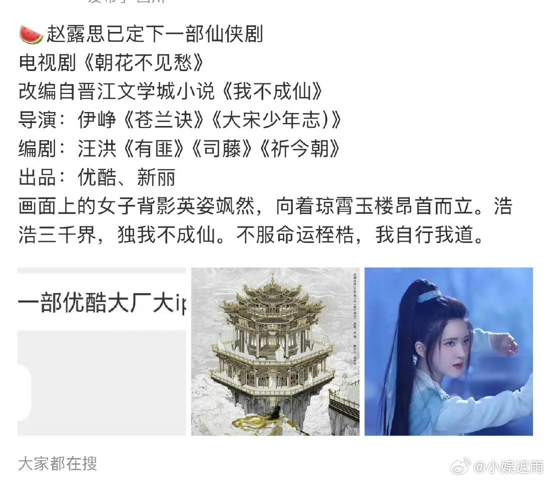 有网友说赵露思下部剧叫朝花不见愁什么时候上映