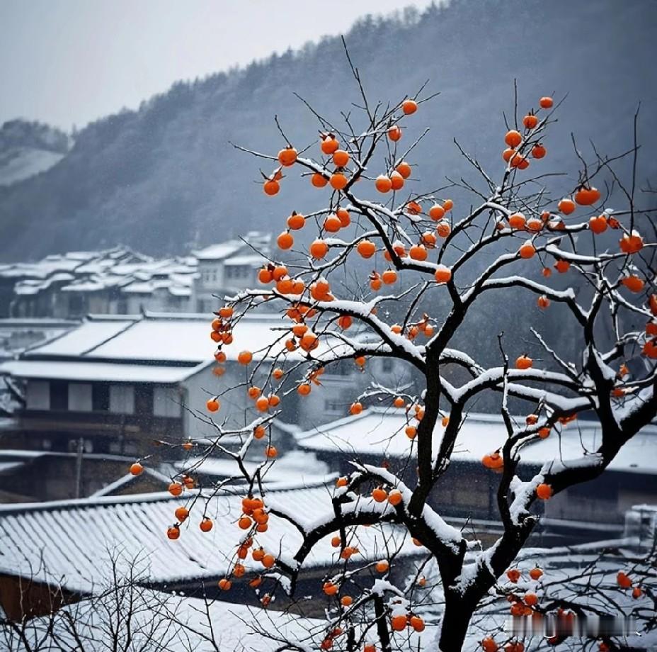 老人80岁后的福气，能拥有这5样真的了不起，普通老人很难拥有在我老家有句俗语，