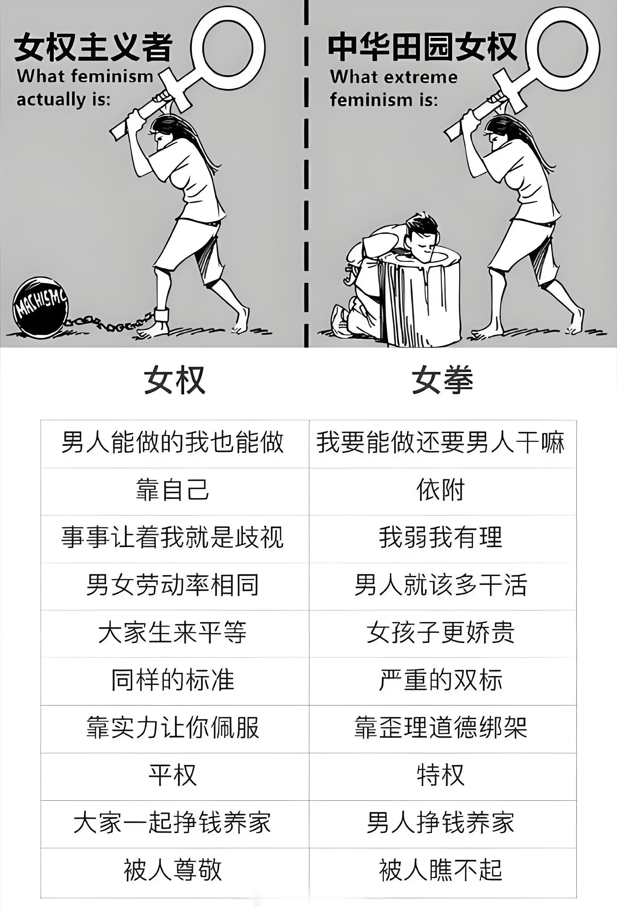 现在很多人把女权和女权混为一谈。女权是争取女生平等自由的权力，而女拳是借女权对一
