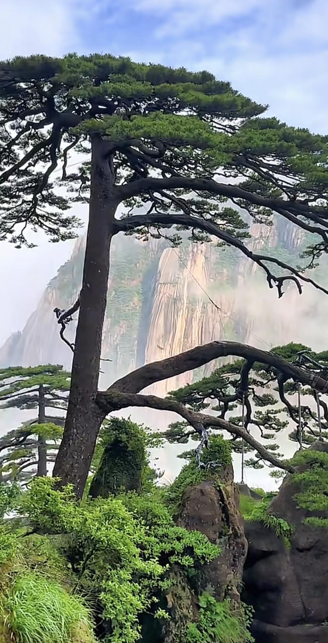 黄山归来不看岳，织金洞外无洞天。琅环胜地瑶池镜，始信天宫在人间黄山风景黄山霞