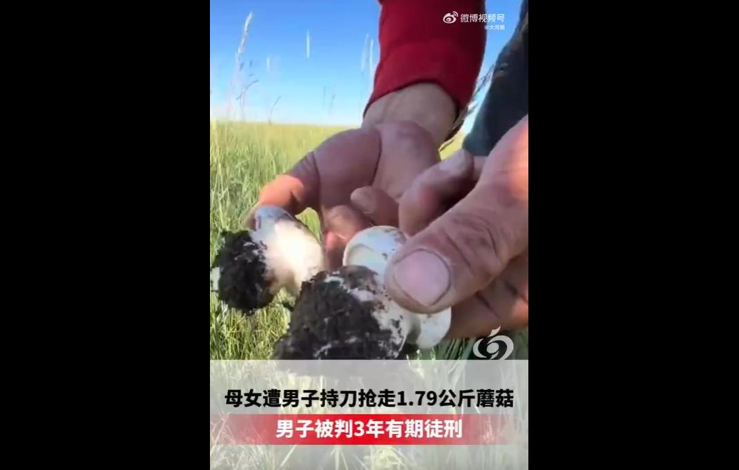 内蒙古男子胡某在草场旁抢走一对母女价值143.2元的蘑菇，被害人制止时遭其撕扯并