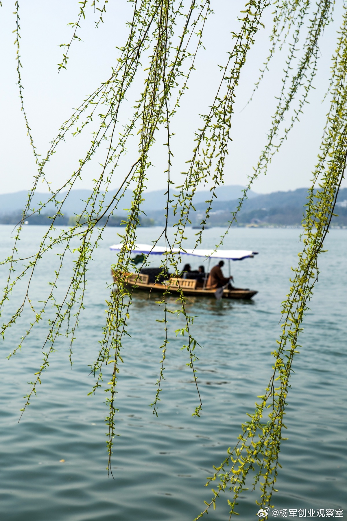【投资大道：从新手到高手，核心是“认知闭环”】段永平先生的理念之所以深刻，在于他