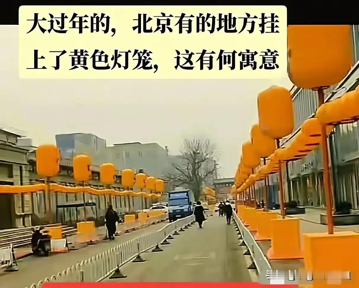 我去！先别急着打压黄灯笼好吗？人家厂商都在加班加点这产品呢？你这全网一下子热度这